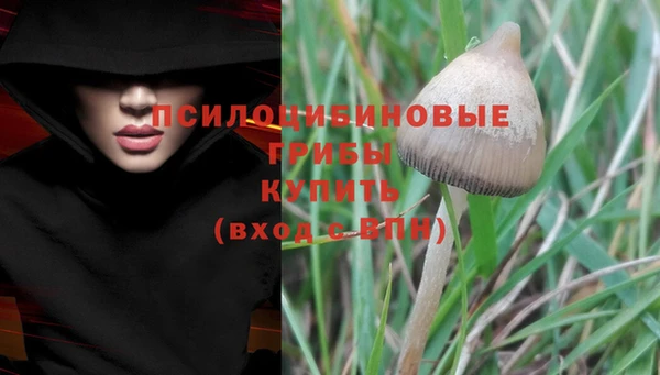 первитин Алзамай